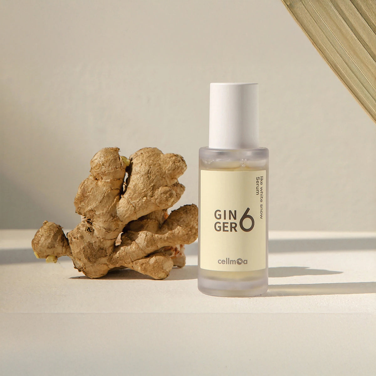 Ginger 6 Like White Snow Serum – Brightening & Hydrating Glow
